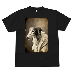 {]C TVc fB[X t@  t  vg JWA 킢 lԗp h ̃fUC ʔ AeB[N {]C [X