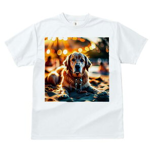 S[fgo[ TVc fB[X t@  t  vg JWA 킢 lԗp h ̃fUC ʔ r[` S[fgo[ Cg 