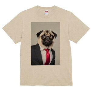 pO TVc fB[X t@  t  vg JWA 킢 lԗp h ̃fUC ʔ X[c pO lN^C CVc