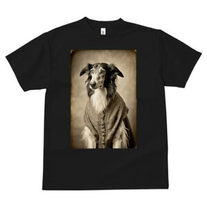 {]C TVc fB[X t@  t  vg JWA 킢 lԗp h ̃fUC ʔ AeB[N {]C g Be[W NVbN