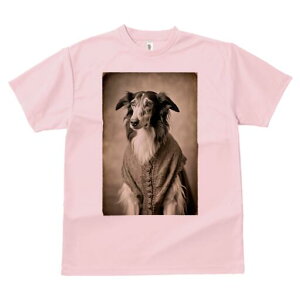 {]C TVc fB[X t@  t  vg JWA 킢 lԗp h ̃fUC ʔ AeB[N {]C g Be[W NVbN