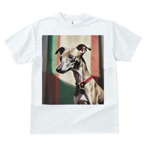 C^AO[nEh TVc fB[X t@  t  vg JWA 킢 lԗp h ̃fUC ʔ  C^AO[nEh