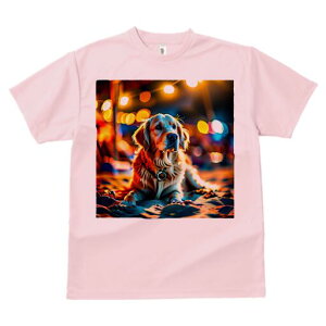 S[fgo[ TVc fB[X t@  t  vg JWA 킢 lԗp h ̃fUC ʔ Cg S[fgo[ 