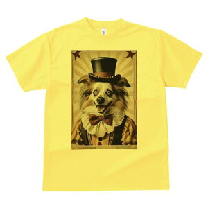 {[_[R[ TVc fB[X t@  t  vg JWA 킢 lԗp h ̃fUC ʔ T[JX {[_[R[ sG Xq {E^C