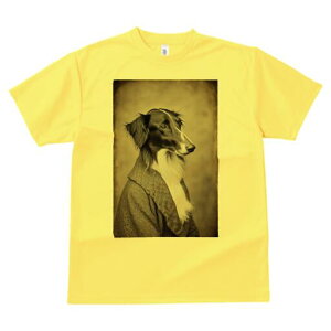 {]C TVc fB[X t@  t  vg JWA 킢 lԗp h ̃fUC ʔ WPbg {]C