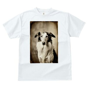 {]C TVc fB[X t@  t  vg JWA 킢 lԗp h ̃fUC ʔ {]C