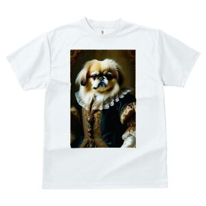 yLj[Y TVc fB[X t@  t  vg JWA 킢 lԗp h ̃fUC ʔ ё yLj[Y lTX