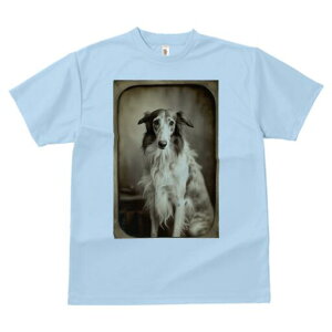 {]C TVc fB[X t@  t  vg JWA 킢 lԗp h ̃fUC ʔ {]C