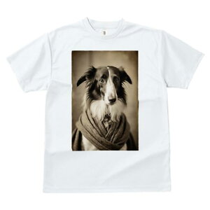 {[_[R[ TVc fB[X t@  t  vg JWA 킢 lԗp h ̃fUC ʔ XJ[t {[_[R[