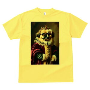 yLj[Y TVc fB[X t@  t  vg JWA 킢 lԗp h ̃fUC ʔ  yLj[Y  ߑ [X