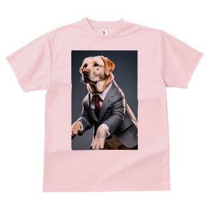 uh[go[ TVc fB[X t@  t  vg JWA 킢 lԗp h ̃fUC ʔ X[c uh[go[ lN^C