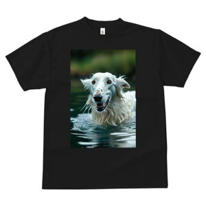 {]C TVc fB[X t@  t  vg JWA 킢 lԗp h ̃fUC ʔ  {]C 