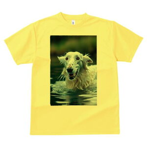 {]C TVc fB[X t@  t  vg JWA 킢 lԗp h ̃fUC ʔ  {]C 