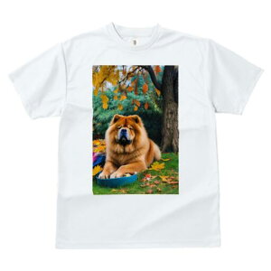 �`���E�`���E T�V���c �����Y �L�b�Y ���t�@�� ���� �t�� ���� �v�����g �J�W���A�� ���킢�� �l�ԗp ���h ���������̃f�U�C�� �ʔ� �H �`���E�`���E �g�t �����t �� ��