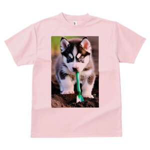 nXL[ TVc fB[X t@  t  vg JWA 킢 lԗp h ̃fUC ʔ Vx nXL[ 