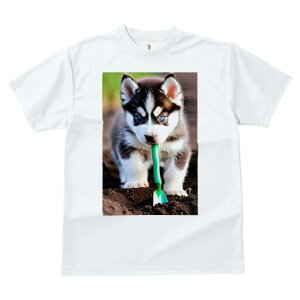 nXL[ TVc fB[X t@  t  vg JWA 킢 lԗp h ̃fUC ʔ Vx nXL[ 