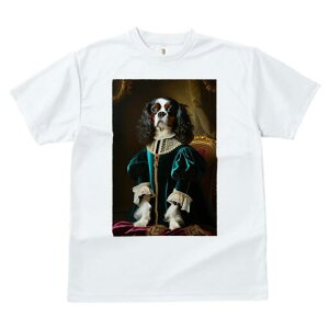 LoA TVc fB[X t@  t  vg JWA 킢 lԗp h ̃fUC ʔ ё LoA hX [X xxbg