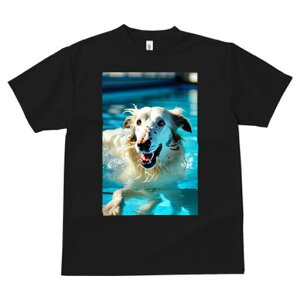 {]C TVc fB[X t@  t  vg JWA 킢 lԗp h ̃fUC ʔ v[ {]C 