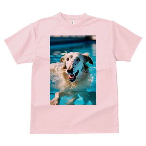 {]C TVc fB[X t@  t  vg JWA 킢 lԗp h ̃fUC ʔ v[ {]C 