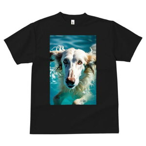 AtKnEh TVc fB[X t@  t  vg JWA 킢 lԗp h ̃fUC ʔ  AtKnEh v[