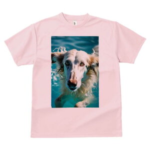 AtKnEh TVc fB[X t@  t  vg JWA 킢 lԗp h ̃fUC ʔ  AtKnEh v[