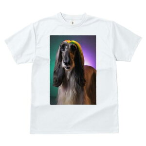 AtKnEh TVc fB[X t@  t  vg JWA 킢 lԗp h ̃fUC ʔ AtKnEh