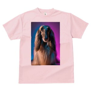 AtKnEh TVc fB[X t@  t  vg JWA 킢 lԗp h ̃fUC ʔ AtKnEh