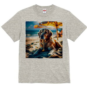 S[fgo[ TVc fB[X t@  t  vg JWA 킢 lԗp h ̃fUC ʔ r[` S[fgo[ C P 