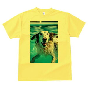 {]C TVc fB[X t@  t  vg JWA 킢 lԗp h ̃fUC ʔ  {]C v[