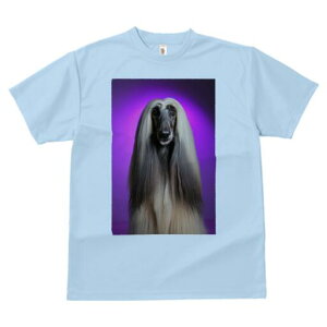 AtKnEh TVc fB[X t@  t  vg JWA 킢 lԗp h ̃fUC ʔ AtKnEh