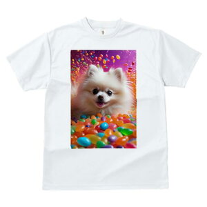 �|�����j�A�� T�V���c ���f�B�[�X ���t�@�� ���� �t�� ���� �v�����g �J�W���A�� ���킢�� �l�ԗp ���h ���������̃f�U�C�� �ʔ� �L�����f�B �|�����j�A�� �J���t�� �X�C�[�c ���َq