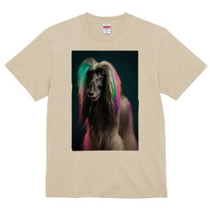 AtKnEh TVc fB[X t@  t  vg JWA 킢 lԗp h ̃fUC ʔ C{[J[ AtKnEh 