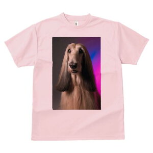 AtKnEh TVc fB[X t@  t  vg JWA 킢 lԗp h ̃fUC ʔ AtKnEh