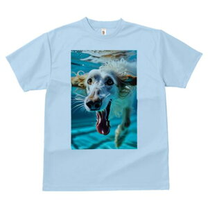 AtKnEh TVc fB[X t@  t  vg JWA 킢 lԗp h ̃fUC ʔ  AtKnEh 