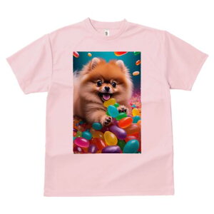 �|�����j�A�� T�V���c ���f�B�[�X ���t�@�� ���� �t�� ���� �v�����g �J�W���A�� ���킢�� �l�ԗp ���h ���������̃f�U�C�� �ʔ� �L�����f�B �|�����j�A�� �J���t�� �X�C�[�c ���َq