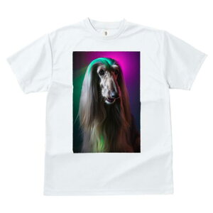 AtKnEh TVc fB[X t@  t  vg JWA 킢 lԗp h ̃fUC ʔ AtKnEh