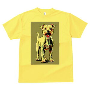 WbNbZeA TVc fB[X t@  t  vg JWA 킢 lԗp h ̃fUC ʔ  WbNbZeA ybg  