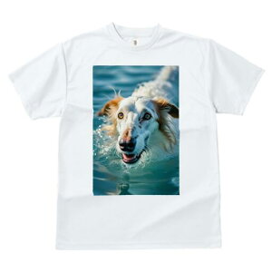 {]C TVc fB[X t@  t  vg JWA 킢 lԗp h ̃fUC ʔ  {]C  