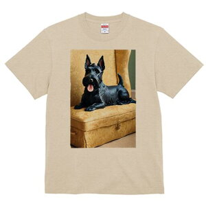 XReBbVeA TVc fB[X t@  t  vg JWA 킢 lԗp h ̃fUC ʔ ֎q XReBbVeA