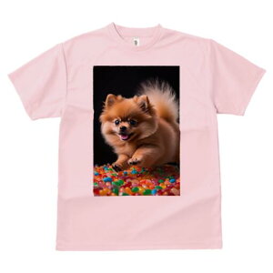 |jA TVc fB[X t@  t  vg JWA 킢 lԗp h ̃fUC ʔ LfB |jA Jt XC[c َq