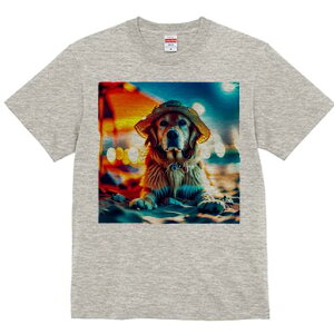 S[fgo[ TVc fB[X t@  t  vg JWA 킢 lԗp h ̃fUC ʔ Xq S[fgo[ r[`  oP[V