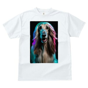 AtKnEh TVc fB[X t@  t  vg JWA 킢 lԗp h ̃fUC ʔ  AtKnEh ybg 