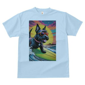 XReBbVeA TVc fB[X t@  t  vg JWA 킢 lԗp h ̃fUC ʔ T[tB XReBbVeA C [Ă T