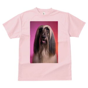 AtKnEh TVc fB[X t@  t  vg JWA 킢 lԗp h ̃fUC ʔ AtKnEh