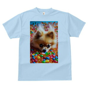 |jA TVc fB[X t@  t  vg JWA 킢 lԗp h ̃fUC ʔ [[r[Y |jA Jt XC[c َq