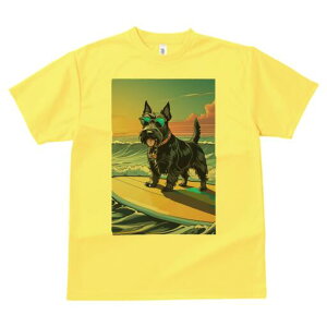 XReBbVeA TVc fB[X t@  t  vg JWA 킢 lԗp h ̃fUC ʔ T[tB XReBbVeA C  TO