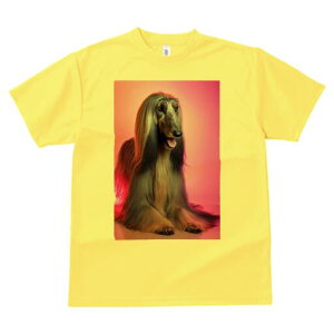 AtKnEh TVc fB[X t@  t  vg JWA 킢 lԗp h ̃fUC ʔ AtKnEh