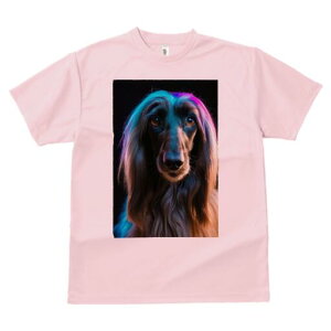 AtKnEh TVc fB[X t@  t  vg JWA 킢 lԗp h ̃fUC ʔ AtKnEh