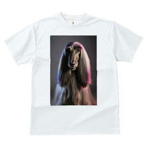 AtKnEh TVc fB[X t@  t  vg JWA 킢 lԗp h ̃fUC ʔ AtKnEh