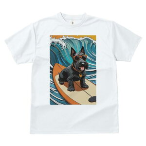 XReBbVeA TVc fB[X t@  t  vg JWA 킢 lԗp h ̃fUC ʔ g XReBbVeA T[t{[h TO